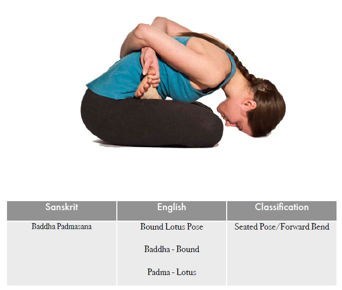 Baddha Padmasana 