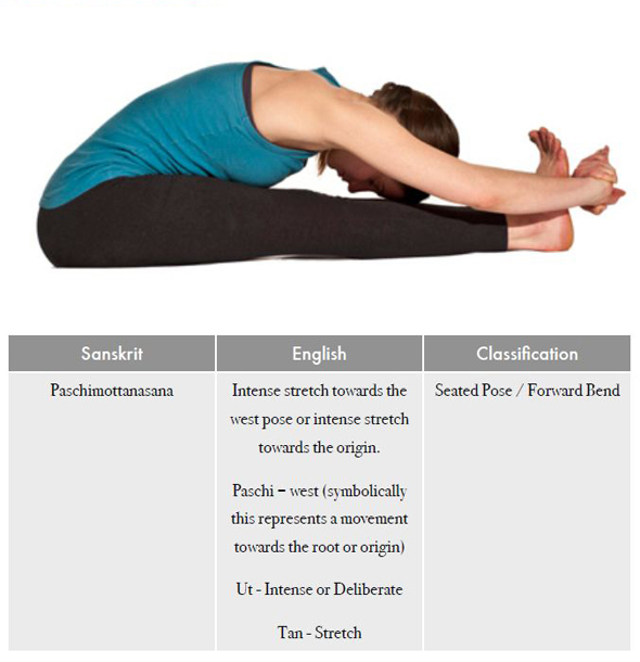 Paschimottanasana | Naada Yoga