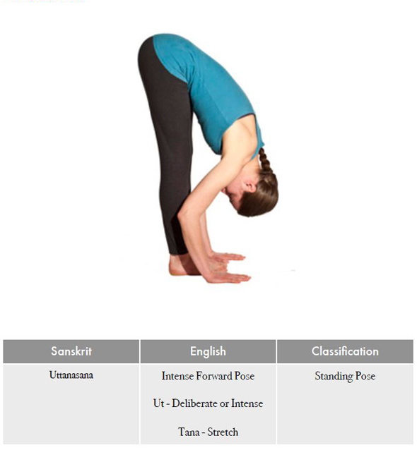 Uttanasana | Naada Yoga